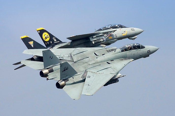 F-14D-VF31-2s CRW_0595|690x459 hip-Oceana06