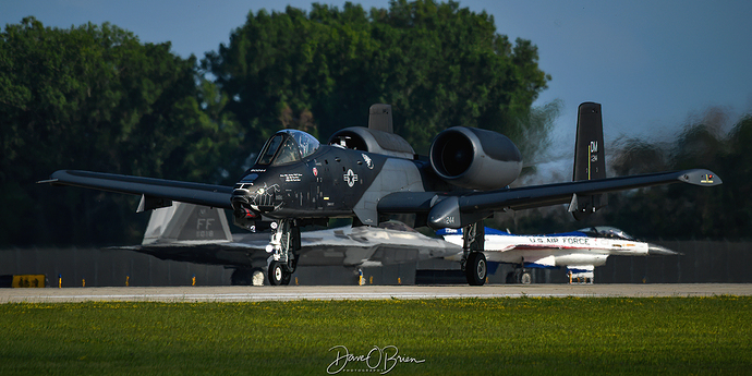 Hog1 80-0244 A-10C D5-2-7239