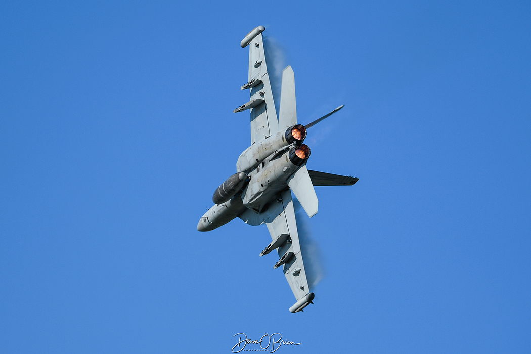 Grizzly12 168376 EA-18G D5-1-2829