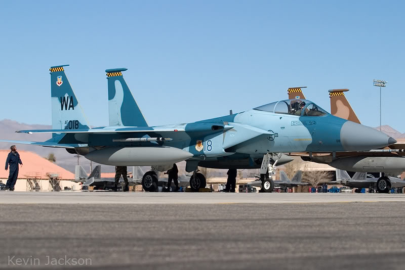 eagle-011